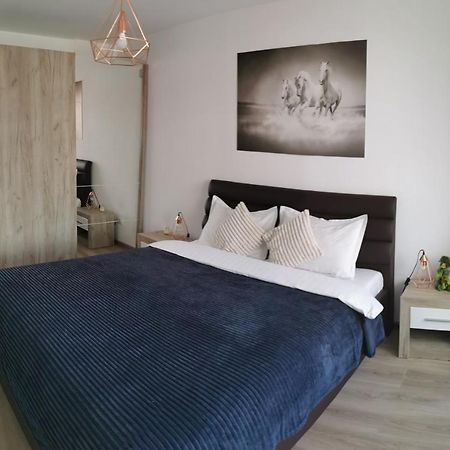Marimonti Apartment Braşov Eksteriør bilde