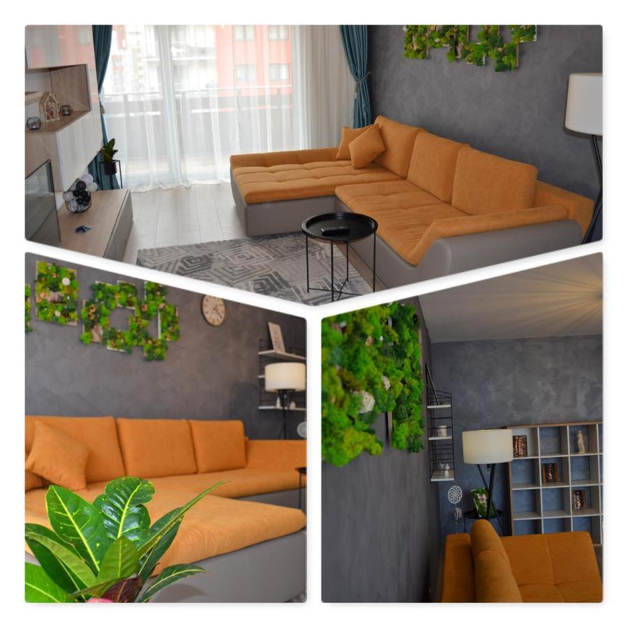 Marimonti Apartment Braşov Eksteriør bilde